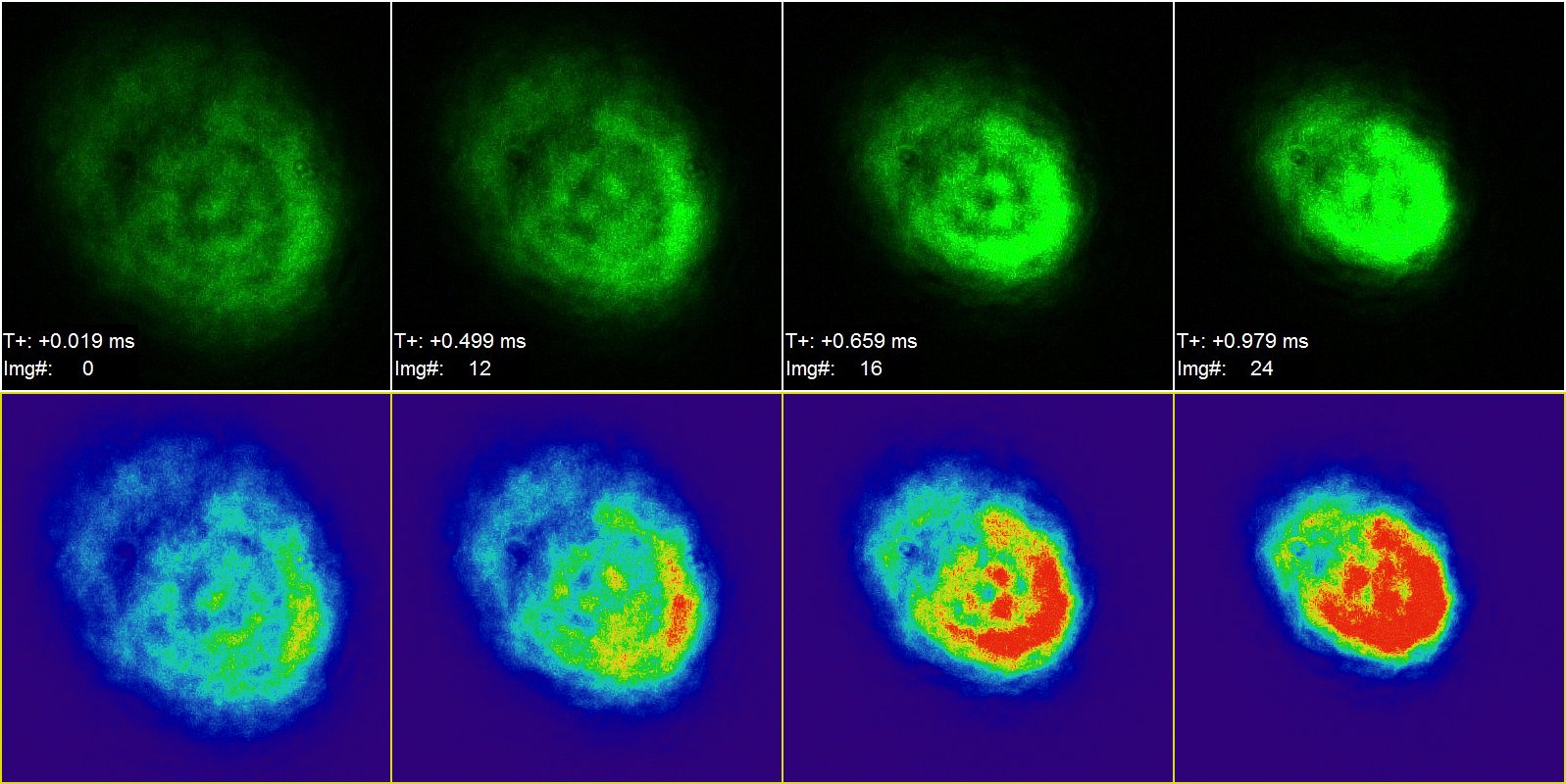 Диагностика оптических неоднородностей в ЛАЭЛ методом  зондирования активной среды ЛЯН.